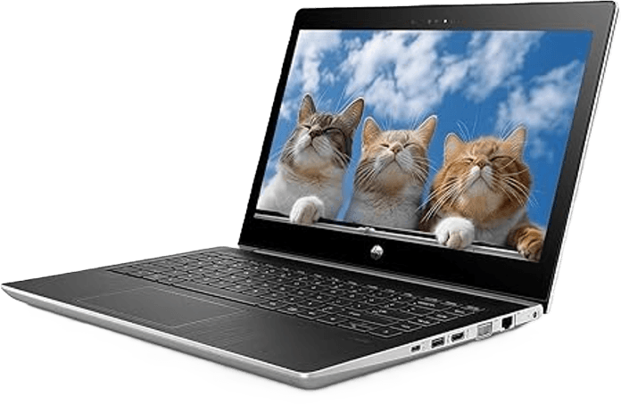 HP MT31 Mobile Thin Client Celeron 3867U | 8GB RAM | 256GB SSD | 13.3" HD (Pre-Owned)